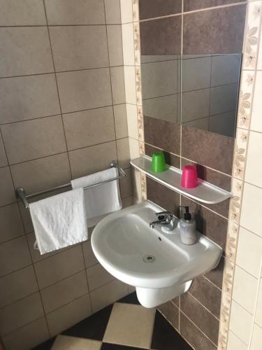 łazienka z umywalką i lustrem w obiekcie Döröcske Vendégház w mieście Somogydöröcske