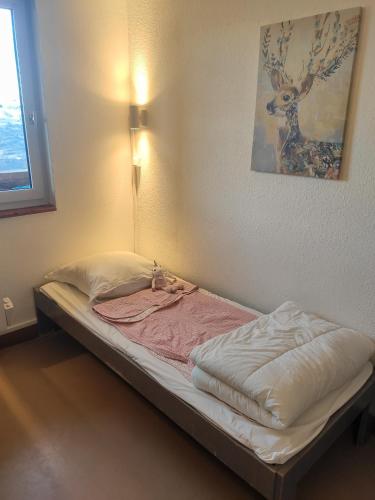 a bed in a room with a picture on the wall at Val Louron Pied des pistes apartment 34 m² 5 pers in Génos