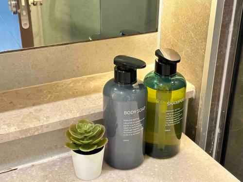 two bottles of soap and a plant on a counter at The Astra condo Deluxe Room in Chiang Mai