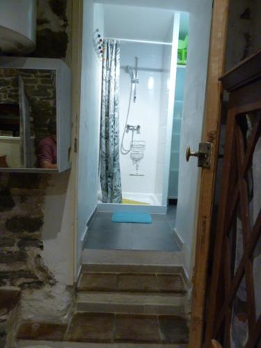 ロルグにあるAtypique-ancienne grange de 48 m²のバスルーム(シャワー、トイレ付)が備わります。