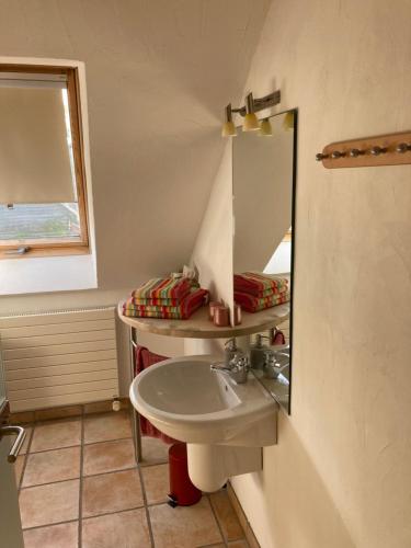 a bathroom with a sink and a mirror at PAULIS Vakantiehuis in Bullange