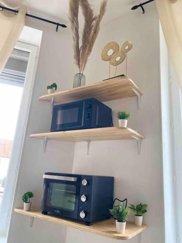 un four micro-ondes installé sur une étagère avec des plantes en pot dans l'établissement Le Volta - studio proche gare, à Sainte-Savine
