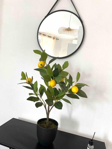 une plante dans un pot sur une table avec miroir dans l'établissement Le Volta - studio proche gare, à Sainte-Savine