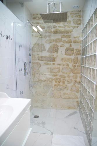 La salle de bains est pourvue d'une douche et d'un mur en pierre. dans l'établissement Dauphine Chic & Charme, à Paris