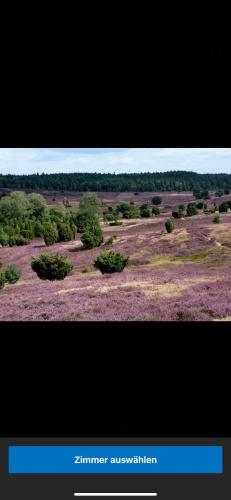 a picture of a field with trees and bushes at Landhotel Vessens Hoff in Buchholz in der Nordheide
