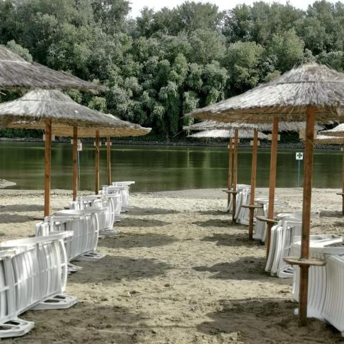a row of chairs and umbrellas on a beach at Százszorszép Vendégház in Csongrád