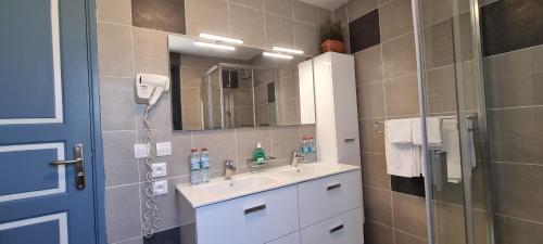 ein Bad mit einem Waschbecken und einer Dusche mit einem Spiegel in der Unterkunft Flamingo résidence in Toliara