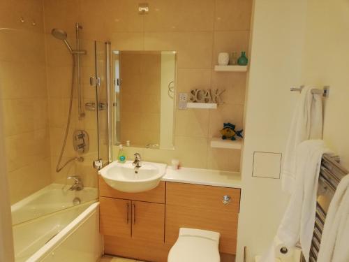 een badkamer met een wastafel, een douche en een toilet bij Apartment in Newbury Parkway Centre in Newbury
