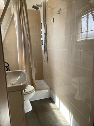 a bathroom with a toilet and a shower and a sink at 100 PASSI Politeama in Palermo