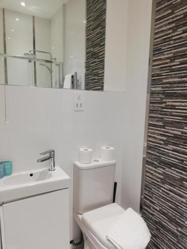 a bathroom with a toilet and a sink and a mirror at Convenient 1 Bed Apartment in the centre of Newbury in Newbury