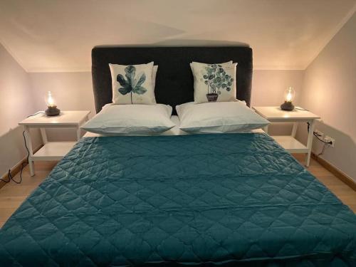 Säng eller sängar i ett rum på Historische Villa mit Garten, Luxus