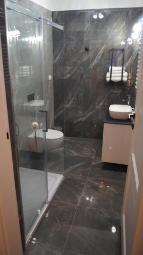 a bathroom with a shower and a toilet and a sink at Apartamenty Street 18 in Toruń