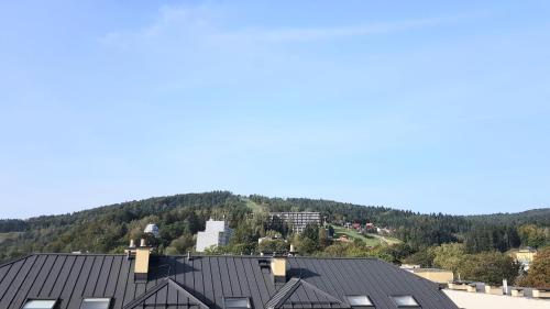 a view of the roof of a building with a mountain in the background at Apartamenty Cicha - bezpłatny parking in Krynica Zdrój