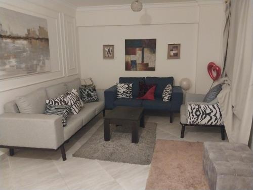 uma sala de estar com um sofá e uma cadeira em الرحاب . دار مصر القرنفل . القاهرة الجديدة 