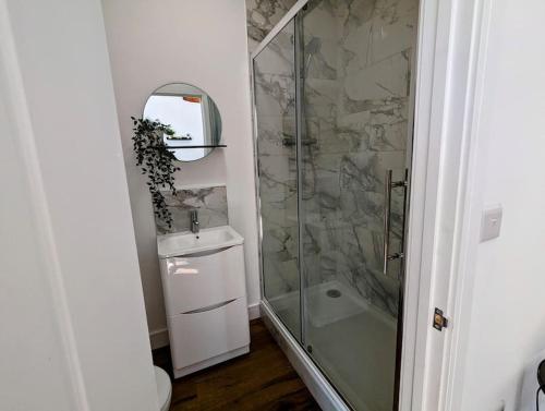 a bathroom with a shower and a sink at The Snug at Cefn Tilla Court in Usk