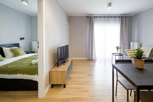 a bedroom with a bed and a desk with a television at Comfortable and spacious oasis in Krakow