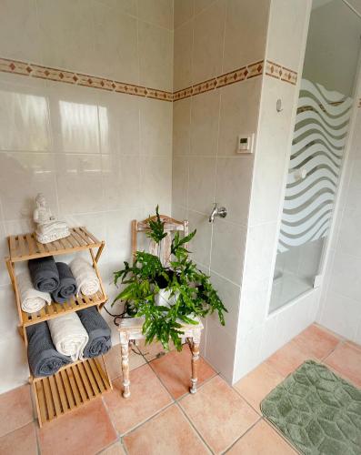 a bathroom with a shower and towels and a plant at Modernes Appartement im Grünen - Stilvoll und komfortabel in Cologne
