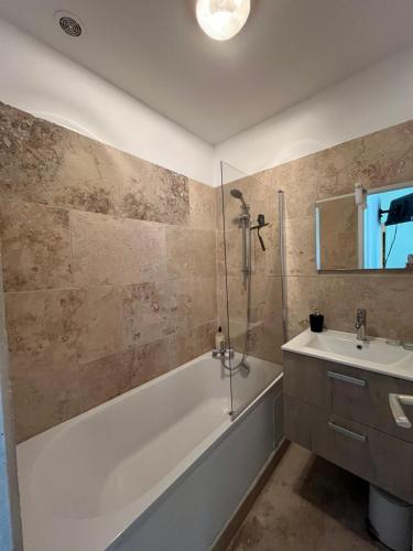 une salle de bain avec une baignoire, un lavabo et une douche dans l'établissement Le cocon de la Roquette, à Arles