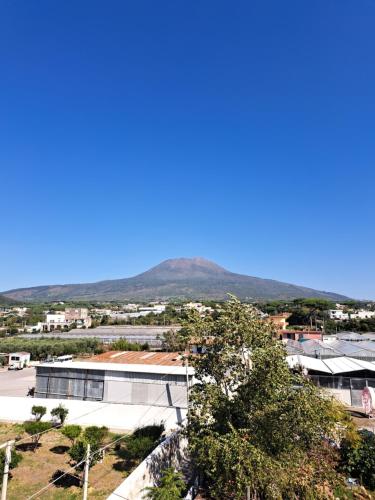 Foto dalla galleria di La dependance 698 a Torre del Greco