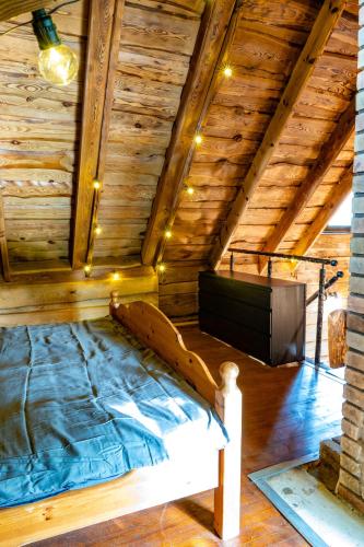 a bedroom with a bed and a television in a attic at Ivanas Countryside in Bražuolė