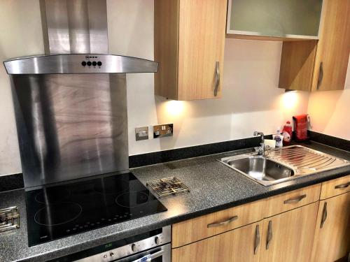 een keuken met een wastafel en een fornuis top oven bij Pelican House is an exclusive contemporary development in Newbury