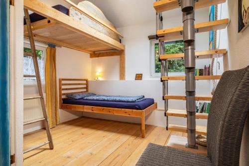 een slaapkamer met een stapelbed en een ladder bij Artesana 2 Bleichnau in Tettnang