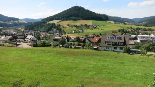 a village in the mountains with a green field at Business Apartment Aida in Baiersbronn