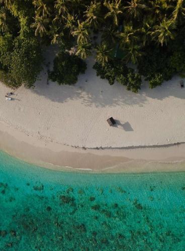an aerial view of a beach with trees and the ocean at Swarn by Hawks Hotels Kamadhoo Baa Atoll in Baa Atoll