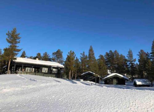 Atndalsvegen 1295 - panoramautsikt til Rondane ในช่วงฤดูหนาว