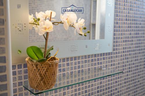 een vaas met bloemen op een glazen plank in een badkamer bij Vivienda Magallanes in Sanlúcar de Barrameda