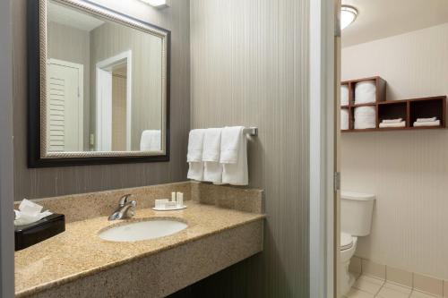 y baño con lavabo, espejo y aseo. en Courtyard by Marriott Atlanta Windy Hill/Ballpark en Atlanta