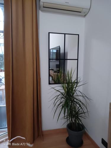 a mirror on a wall next to a plant at Claudia 's House in Rome