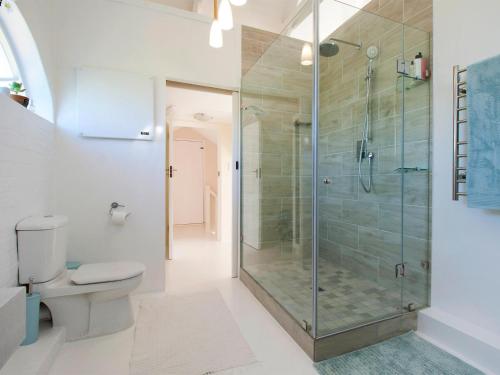 ein Bad mit einer Dusche und einem WC in der Unterkunft That Cape Town House in Dagbreek