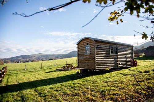 a small wooden cabin in a field of grass at Foot of the Downs Shepherds Hut in Woodmancote