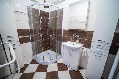 La salle de bains est pourvue d'une douche et d'un lavabo. dans l'établissement Apartmány Olešnice, à Olešnice v Orlických horách