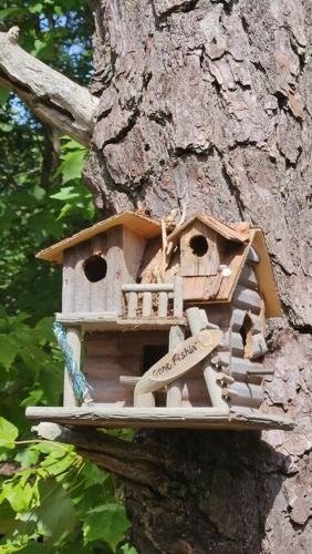 a bird house on the side of a tree at Luxury getaway in woods, Jacuzzi, Hot Tub, Pool in Bushkill