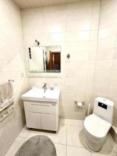 Un baño con inodoro, lavabo y espejo. en Studio Flat in Center of Tbilisi, en Tiflis