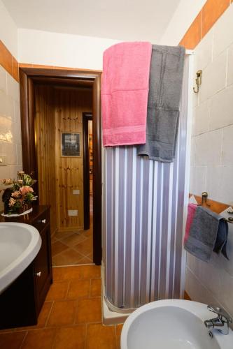 a bathroom with a shower and a toilet and a sink at La Pineta di Giove - Casa Lory in Campo di Giove