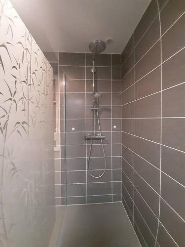 La salle de bains est pourvue d'une douche. dans l'établissement Chez Vovone 3 étoiles clévacances, à Saulxures-sur-Moselotte