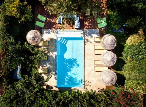 an overhead view of a swimming pool in a yard at Turdus Merula Retreat in Nea Makri