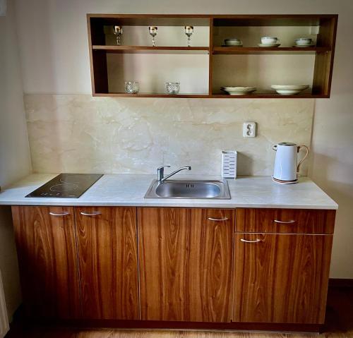 a kitchen with a sink and a counter top at VLADIMÍR, rekreační středisko in Šternberk