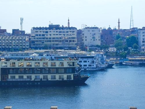 a group of boats in a river with buildings at Nubian Paradise in Aswan