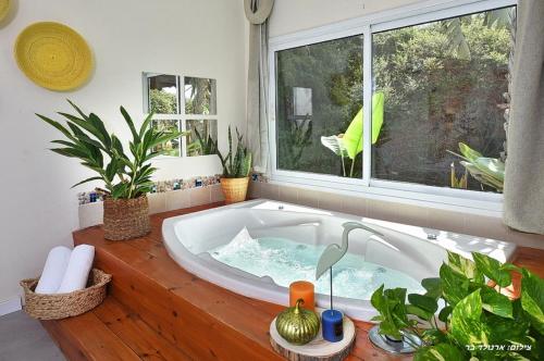 a tub in a room with plants and a window at Suites Luka in Had Nes