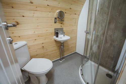 a bathroom with a toilet and a sink and a shower at Carlton Manor Pods in Aldbrough