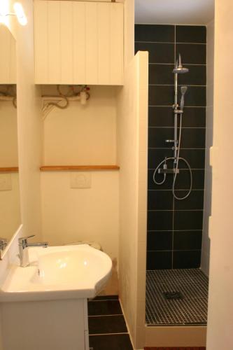 une salle de bain avec un lavabo et une douche dans l'établissement Appartement Université-Capitole, à Toulouse