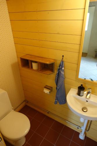 a bathroom with a sink and a toilet and a mirror at Attic apartment on countryside in Mörarp