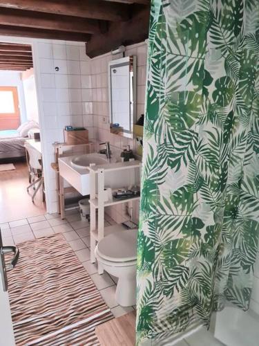 une salle de bain avec toilettes, lavabo et rideau de douche dans l'établissement Duplex atypique loft Lyon 6, à Lyon
