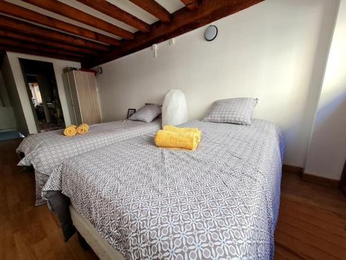 Duplex atypique loft Lyon 6