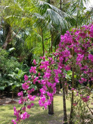 Taman di luar Casa da Mata Marajó