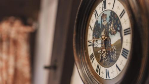 a close up of a clock on a wall at Aparthotel Ansitz Felsenheim in Lermoos